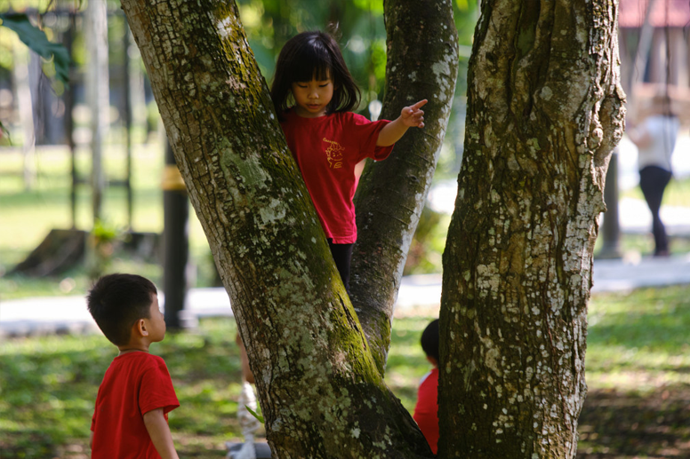 Outdoor Play in the Park 