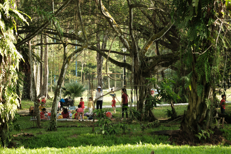 Outdoor Play in the Park 
